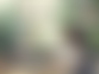 방대하고 자체적인 무료웹툰 업로드